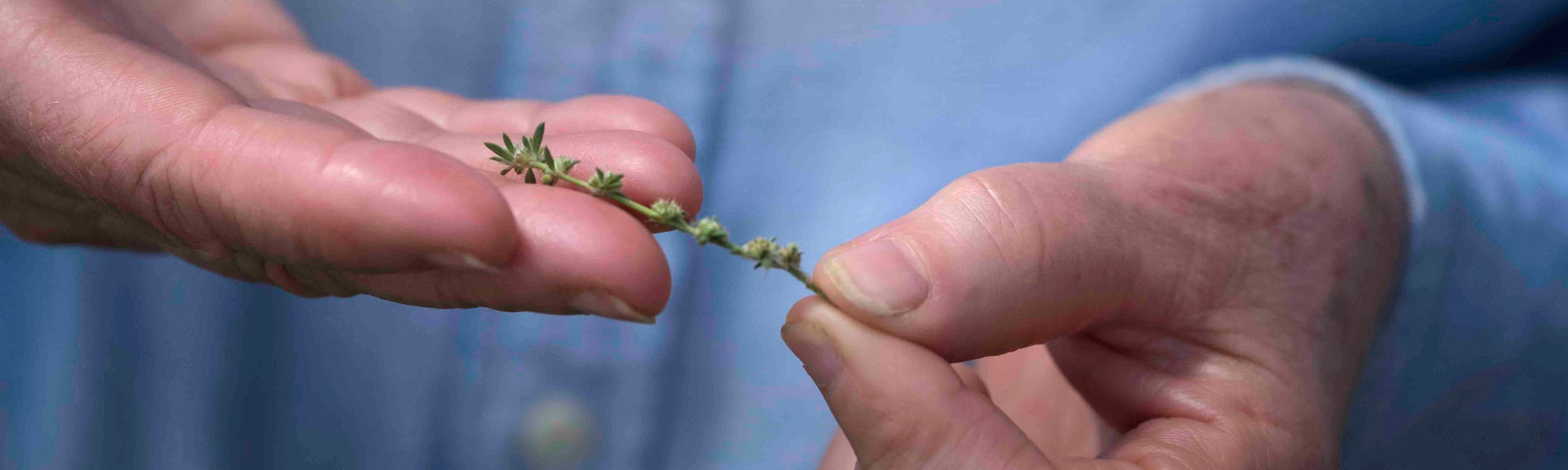 Australian Holistic Management Cooperative